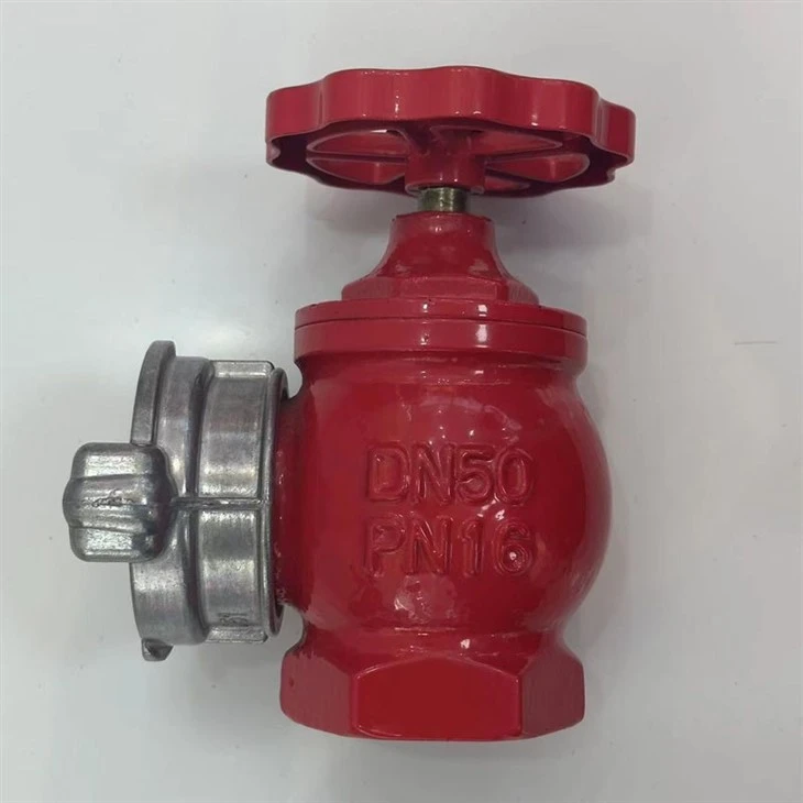 DN50/65mm Indoor Fire Hydrant