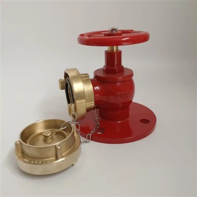 Indoors Type Fire Hydrant With Good Price