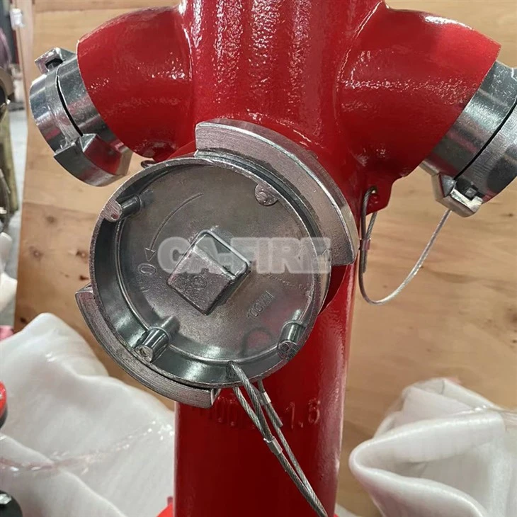 Grounding Fire Hydrant