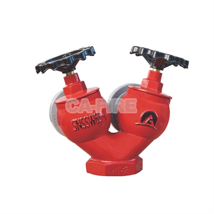 SNSS65 Double Outlet Indoor Fire Hydrant best