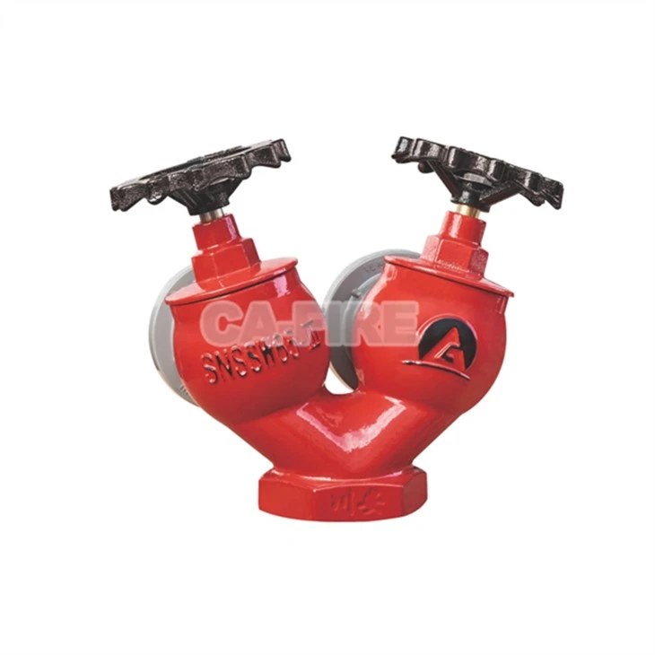 SNSS65 Double Outlet Indoor Fire Hydrant suppliers