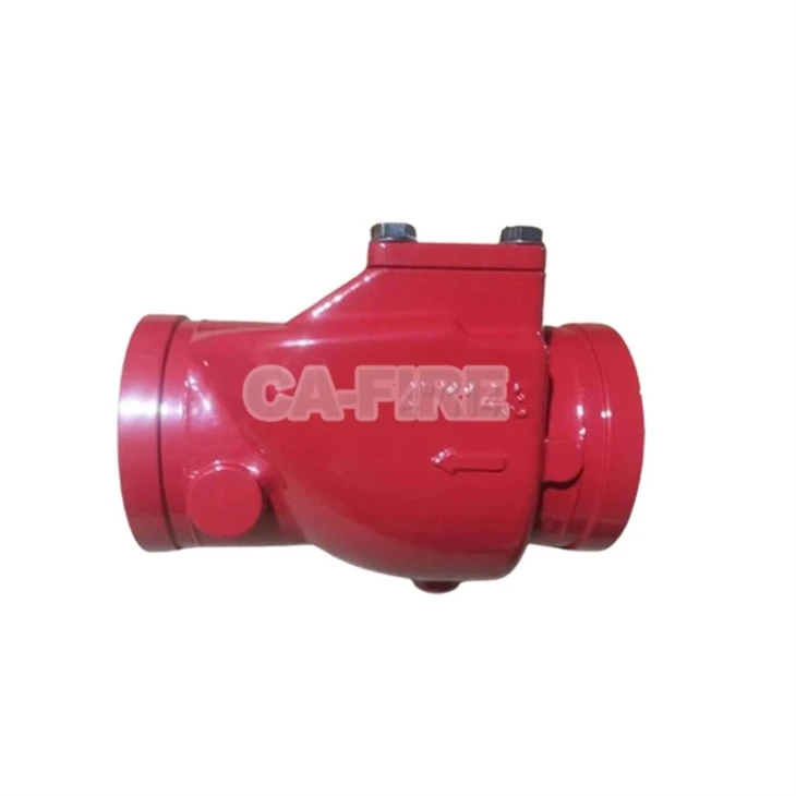 Check valve (1)