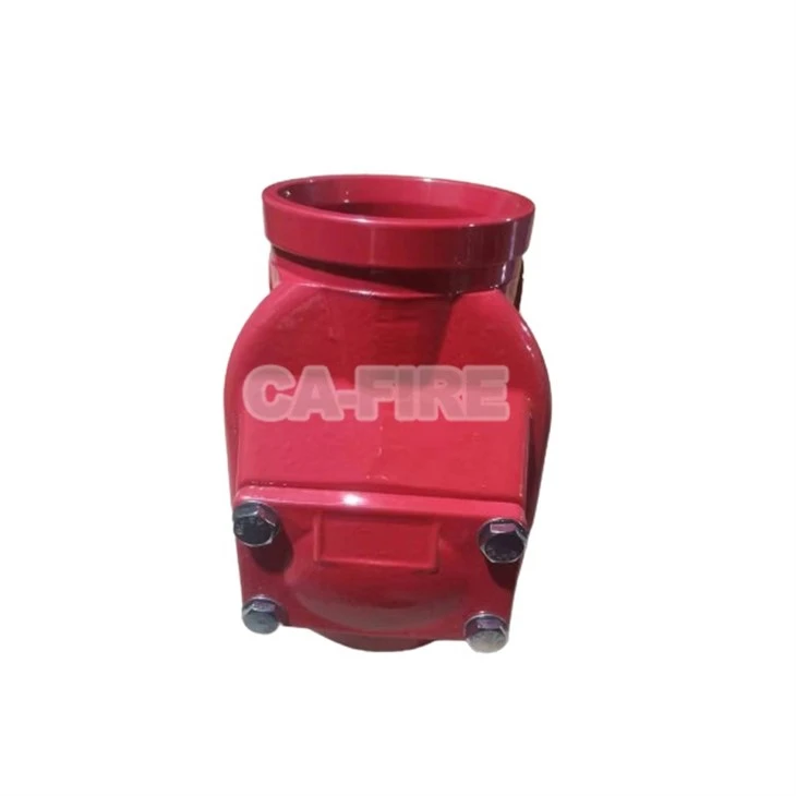 Check valve (2)