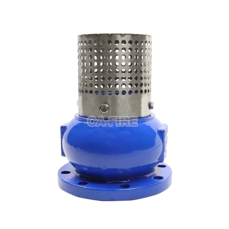 Flange Bottom Foot Valve: Prevent Backflow + High-Seal Performance, Safety Guarantee For Piping Systems factory