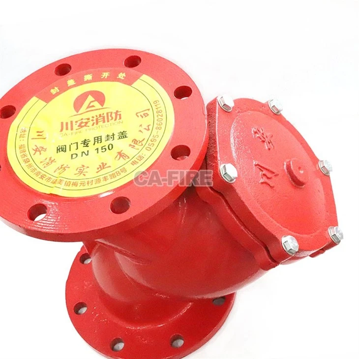 High-Efficiency Y Strainer: Ensures Optimal Water Flow in Fire Systems high quality
