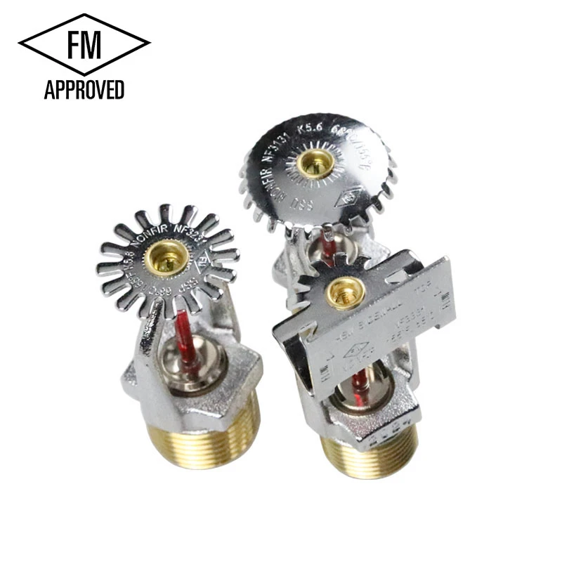 product-800-800 product-800-800