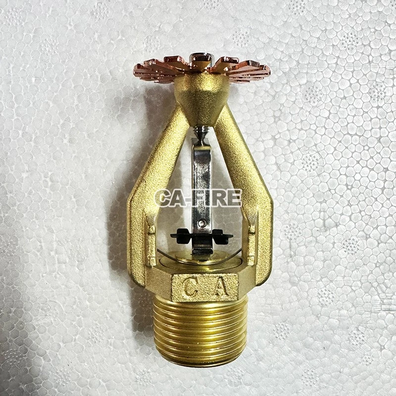 product-800-800