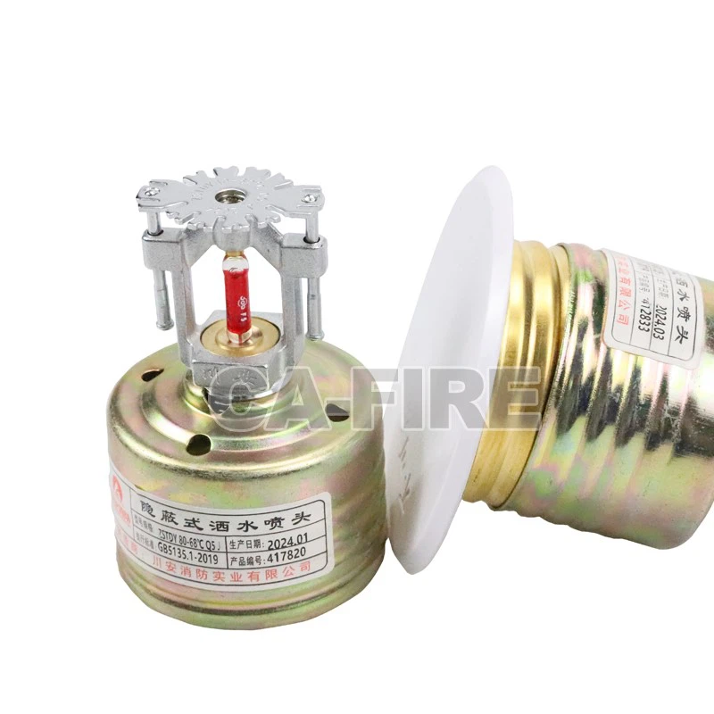 product-800-800 product-800-800