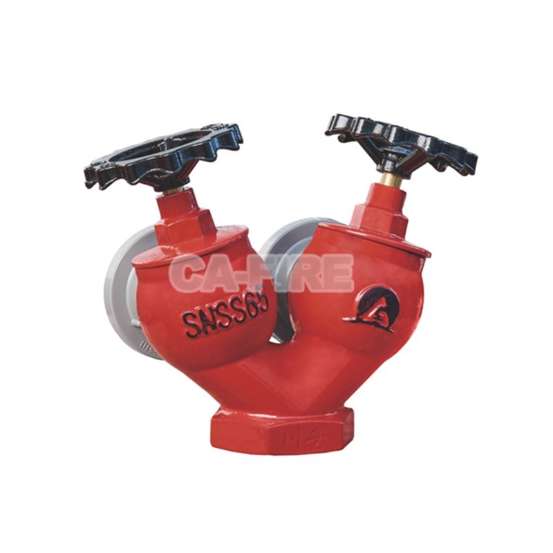 Double Valve Double Outlet Indoor Fire Hydrant