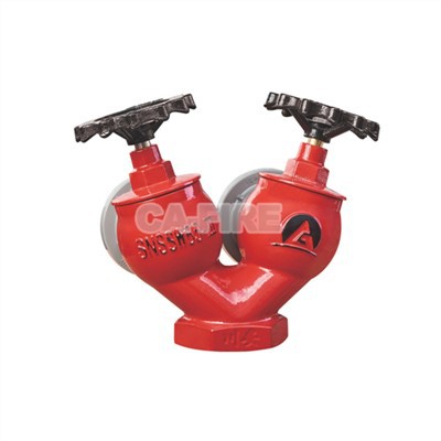 Standard Size Double Valve Double Outlet Indoor Fire Hydrant Fire Control Fitting