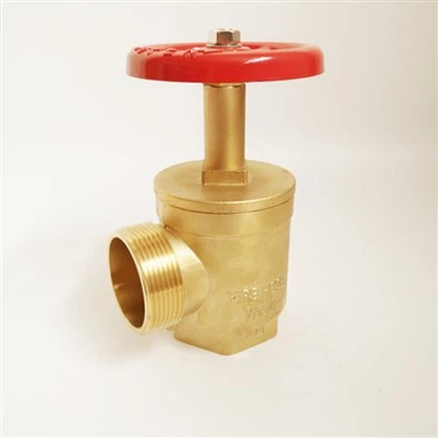 Water Indoor Fire Hydrants